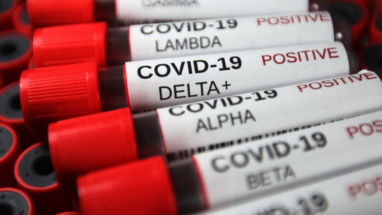 Variante Delta: las vacunas reducen el riesgo de contagio pero no lo neutralizan